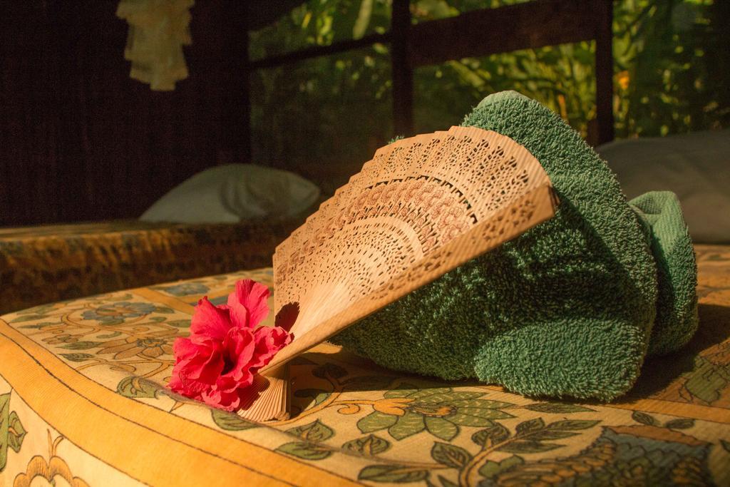 Finca Exotica Eco Lodge Carate ภายนอก รูปภาพ