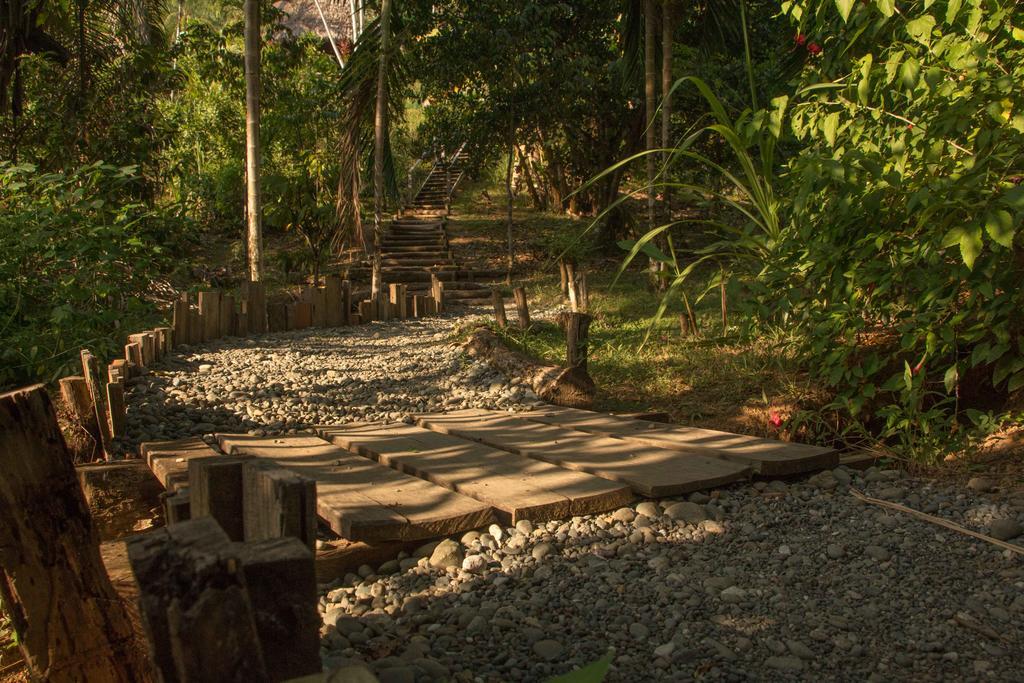 Finca Exotica Eco Lodge Carate ภายนอก รูปภาพ