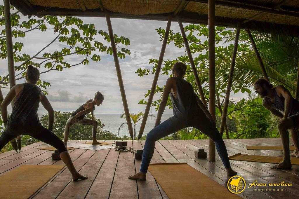 Finca Exotica Eco Lodge Carate ภายนอก รูปภาพ