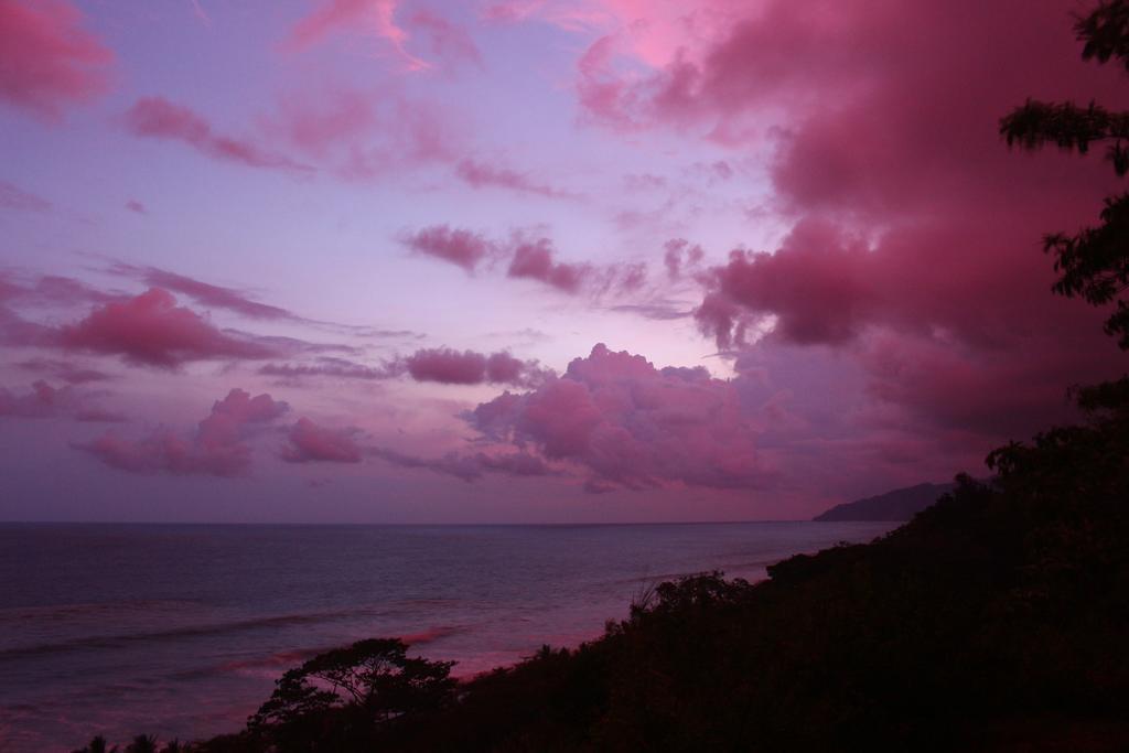 Finca Exotica Eco Lodge Carate ภายนอก รูปภาพ