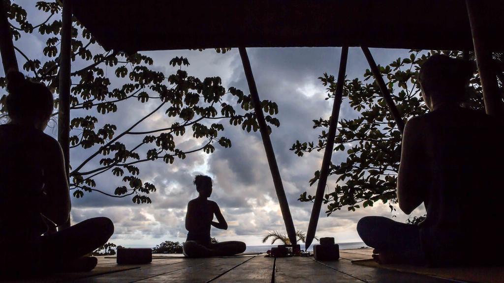 Finca Exotica Eco Lodge Carate ภายนอก รูปภาพ