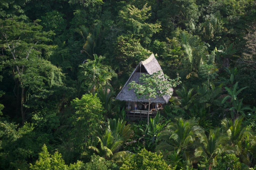 Finca Exotica Eco Lodge Carate ห้อง รูปภาพ
